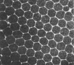 嘉力丰墙基膜 装修材料要因材施用