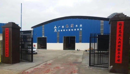 林槿板材总经理马中江 弯道超速 与广西一同按下快进键