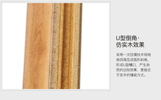 春天强化复合地板 防水耐磨仿古地暖环保家用卧室优选